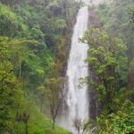 Enjoy the Beauty of Materuni Waterfalls